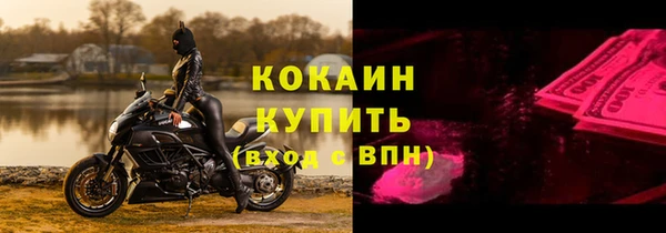 молекула духа Вяземский