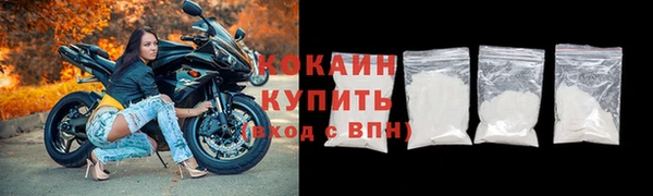 молекула духа Вяземский