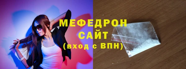 молекула духа Вяземский