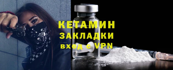 молекула духа Вяземский