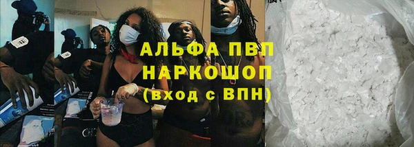 молекула духа Вяземский