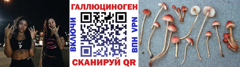 Галлюциногенные грибы Magic Shrooms купить Ивангород