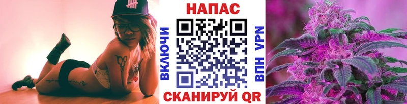 Шишки марихуана конопля  Ивангород 